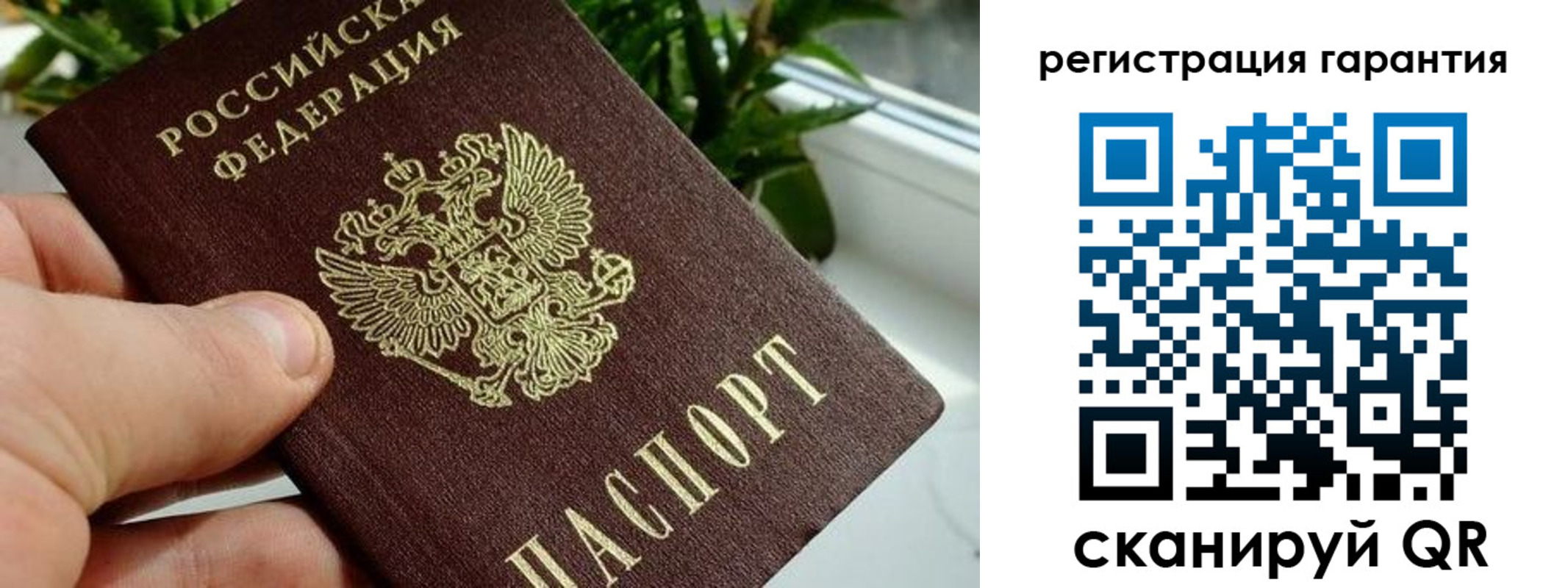 временная регистрация надежно в Пересвете